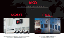 Tablet Screenshot of ako.com